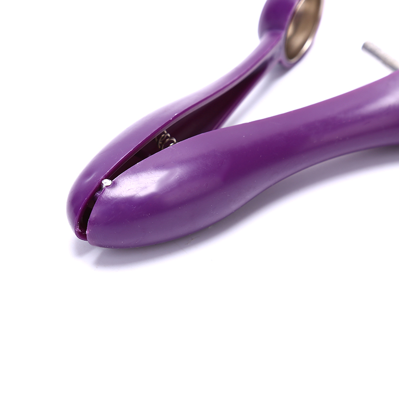 Gemakkelijke kersen- en olijfp - Kitchen Gadgets Xmas recensie en prijs