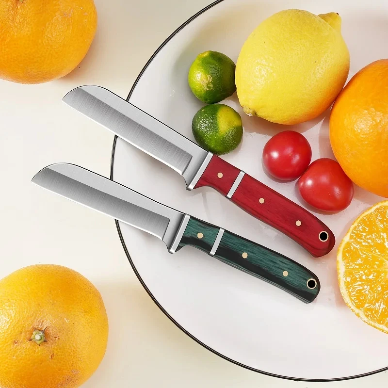 Roestvrij staal Fruitschiller  - Vegetable Kitchen Gadgets recensie en prijs