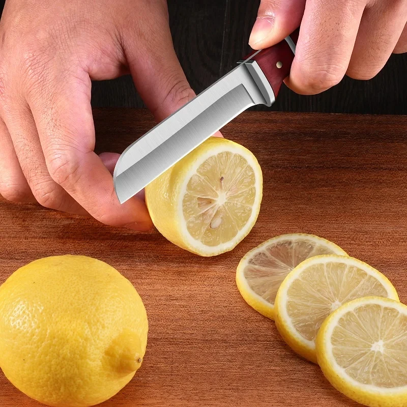 Roestvrij staal Fruitschiller  - Vegetable Kitchen Gadgets recensie en prijs